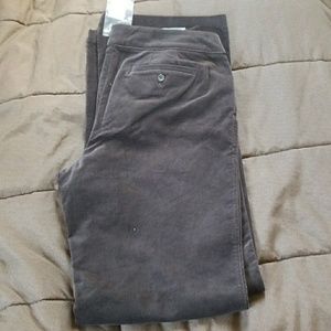 2/$20 SALE! ANN TAYLOR Brown Lindsay Stretch Pants